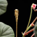 The Organic Flower Stick-1