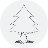 Weihnachten