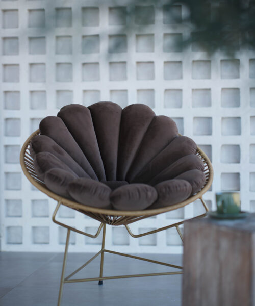 Das Muschelkissen Brown-1