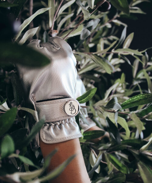 Garden Glove Silverbullet-2