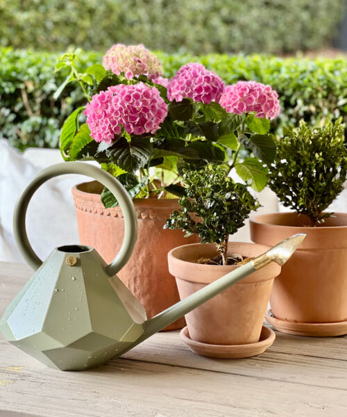 Eucalyptus watering can + Sprinkler Head-2