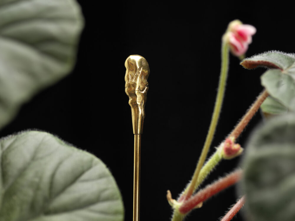 The Organic Flower Stick-1