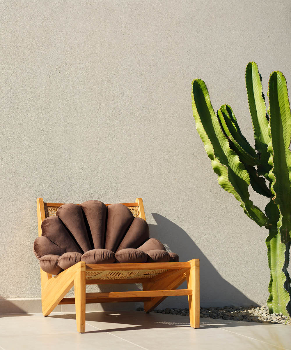 Shell-Cushion-Brown-5 Shell Cushion Brown-5