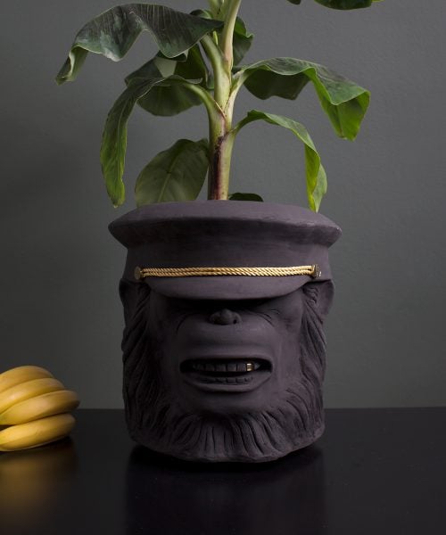 monkey face pot with flower