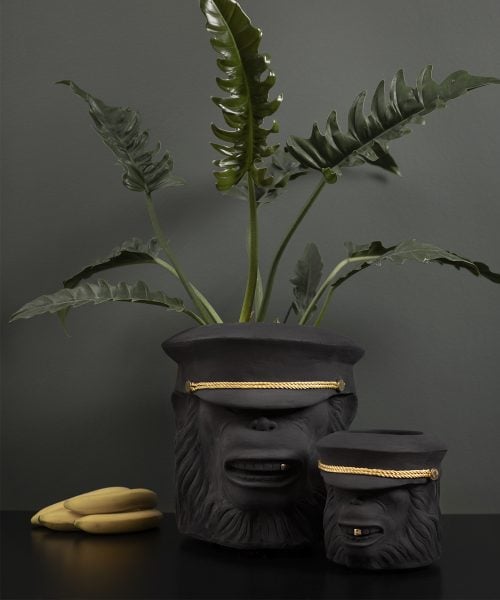 monkey-face-small-pot-3