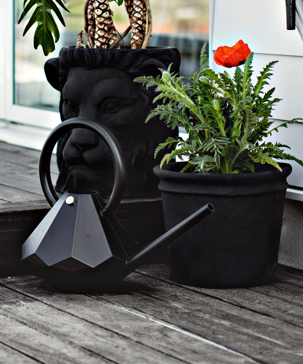 watering can onyx 8