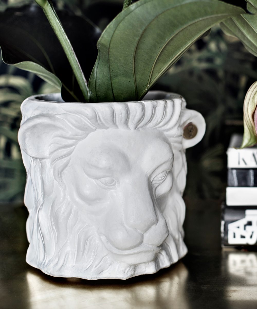 lion pot white small with flower