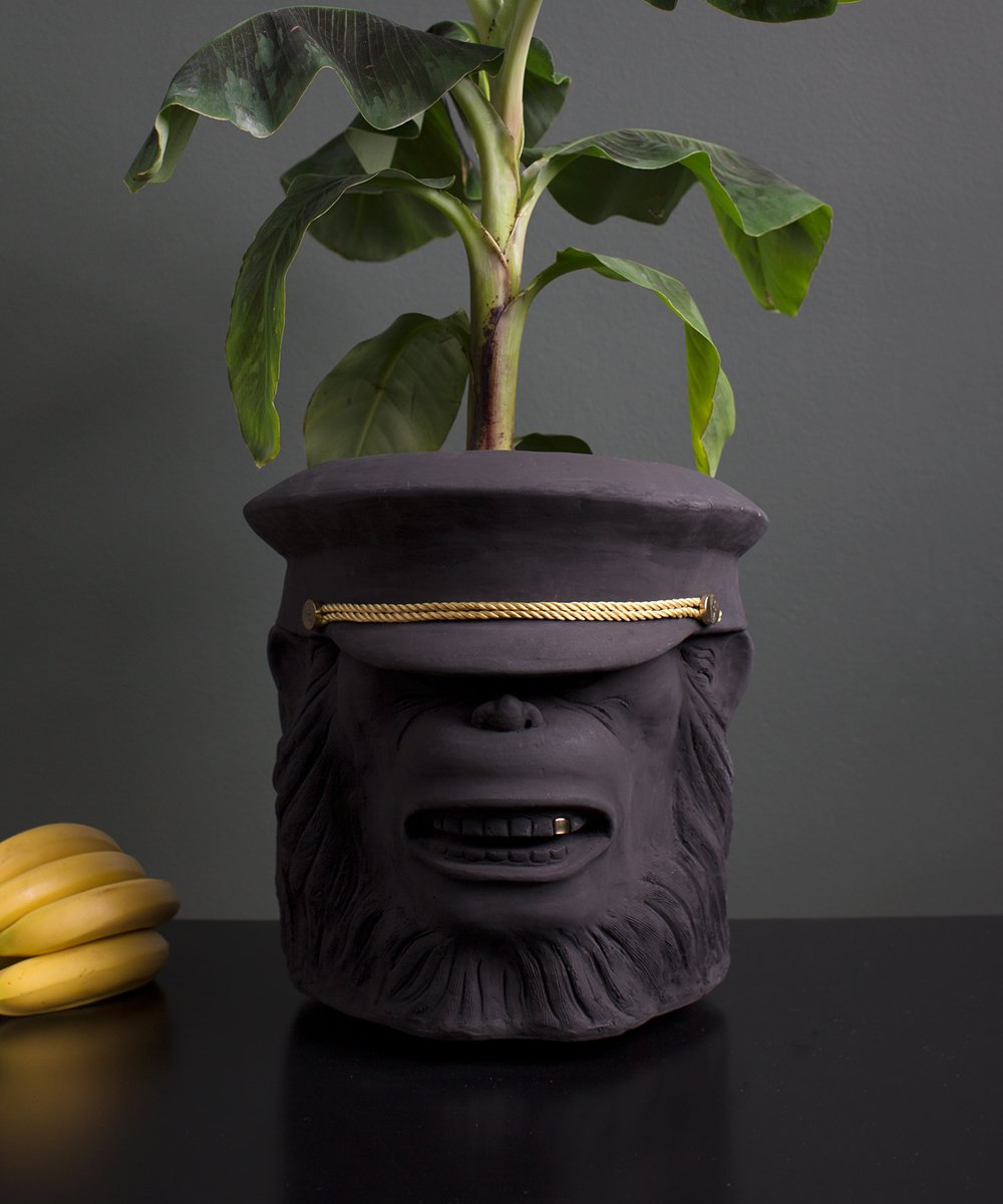 SLIM FLOWER POT  Small plants in tight spaces - Monkey