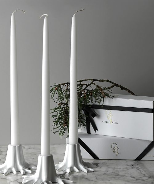 white candle holder root