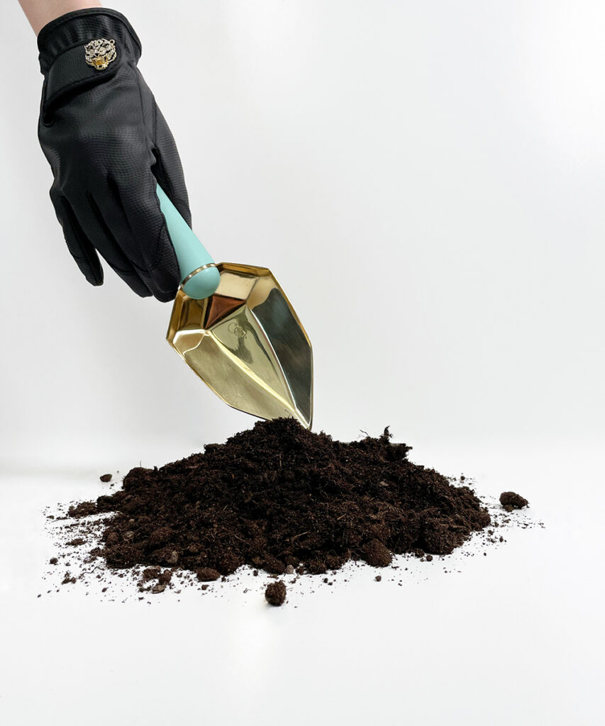 Jade Diamond Spade Garden Glory We ship worldwide