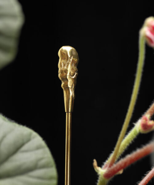 Garden Glory Flower Frog 3,4 cm - Vases Brass - 19533