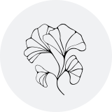 >Flower Accessories