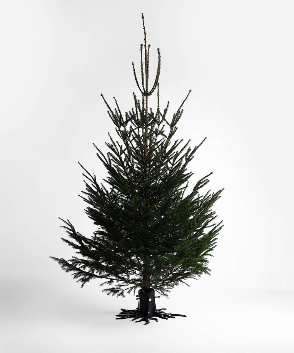 Christmas Tree Stand "The Root" - Black-4