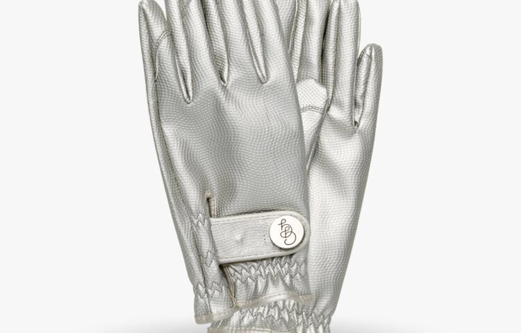 Garden Glove Silverbullet-1